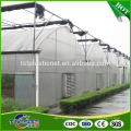 Custom wholesale new products film tomato greenhouse